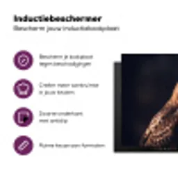 Roofvogel - Buizerd - Bruin Inductie beschermer vinyl 3mm klein -zzzzzzz-cc-usp