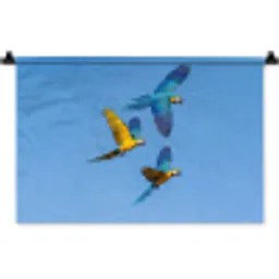Papagaai - Vliegen - Blauw - Geel Wandkleed katoen klein -zz3d