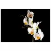 Orchidee - Bloemen - Planten - Botanisch poster papier klein -3d