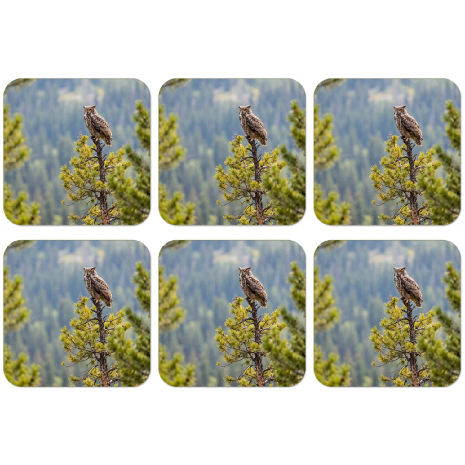 Uil - Oehoe - Bomen - Natuur onderzetter kurk middel -zkaufland3dotto