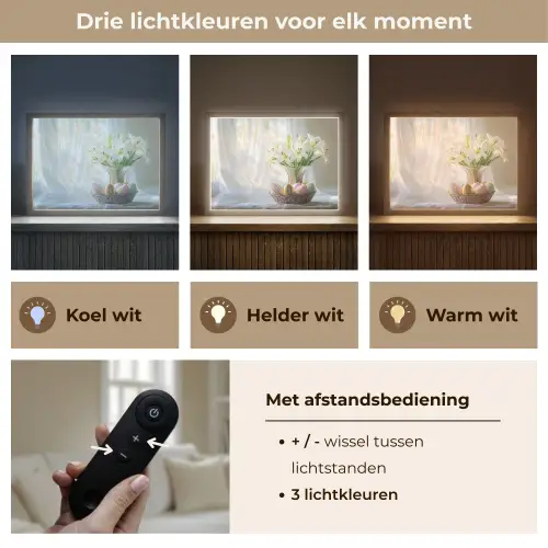 Vaas - Eieren - Bloemen Light Box met batterij (Wandlamp) middel -USP_lichtkleurNL