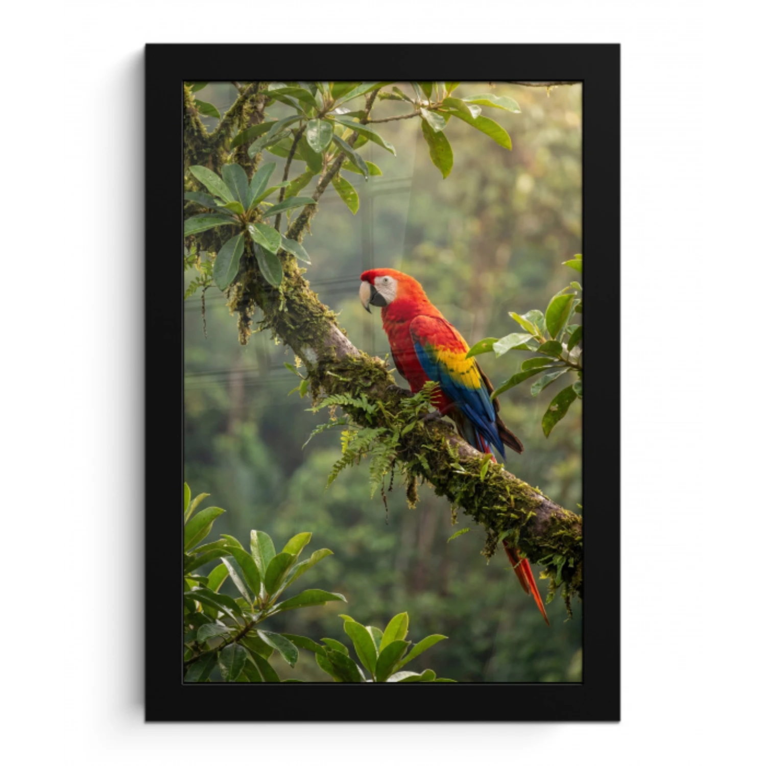 Ara - Jungle - Rood fotolijst zwart zonder passe partout klein -3d