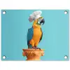 Papegaai - Koksmuts - Grappig - Vogel tuinposter los doek klein -3d