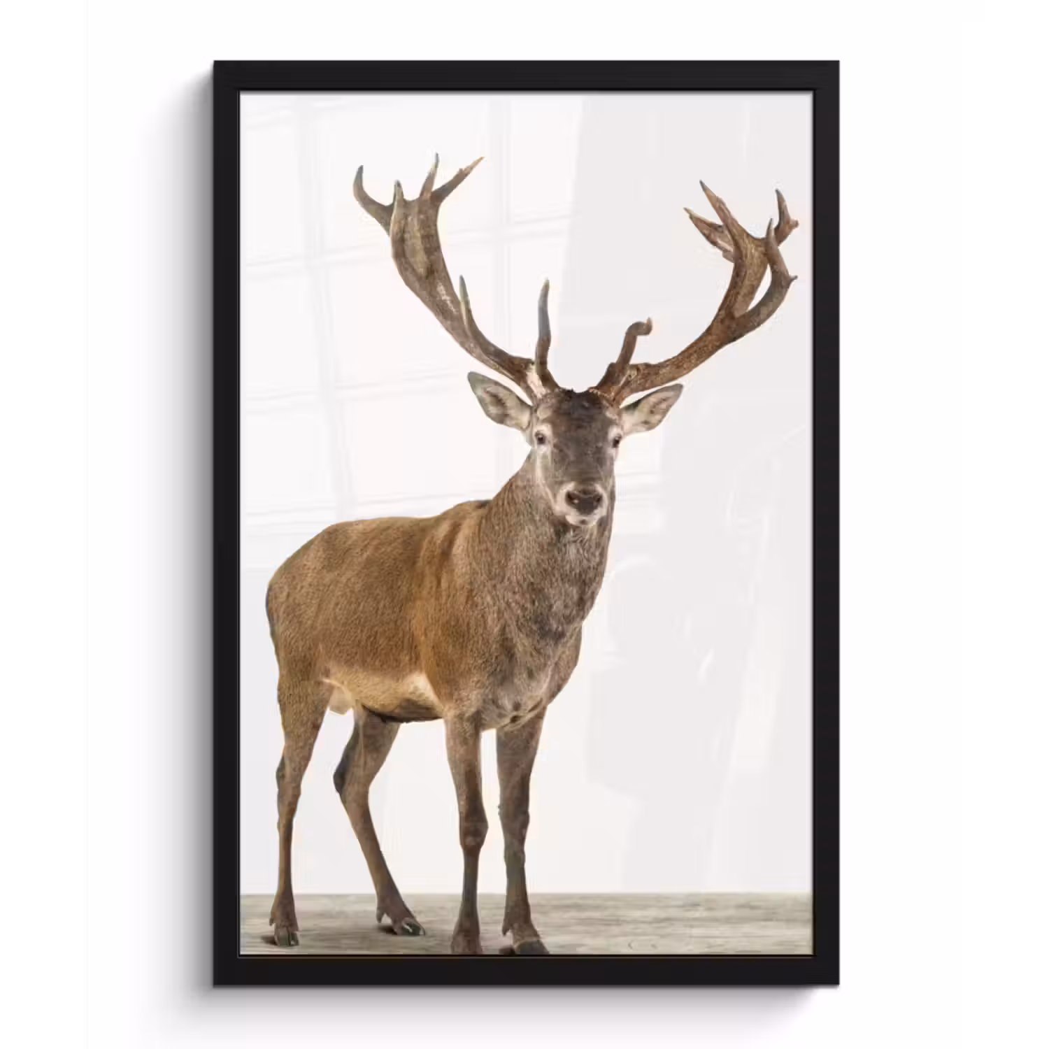 Poster met lijst - Hert - Dieren - Gewei - Kinderen - Meisjes - Jongens