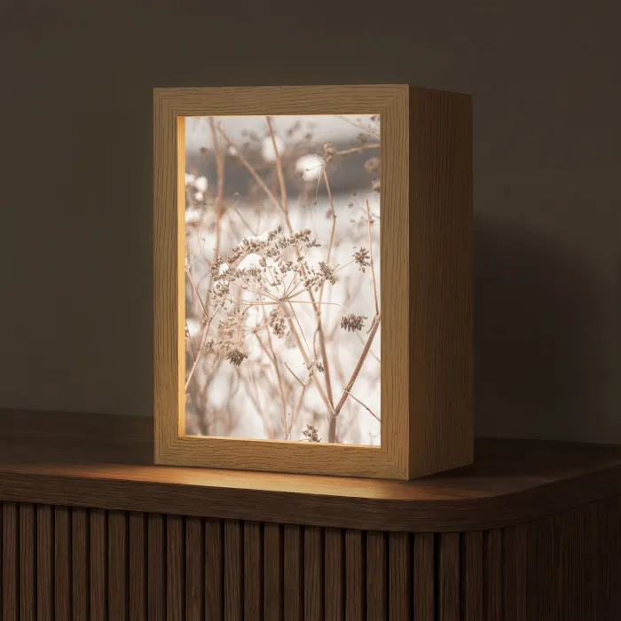 Droogbloemen - Wit - Planten Light Box met kabel (Tafellamp) klein -z3d_website