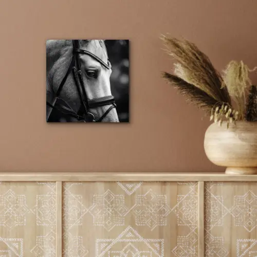 Paard - Schimmel - Portret aluminium wit klein -sfeer4