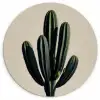 Cactus - Subtiel - Groen Wandcirkel kunststof plaat 5mm dik klein -3d