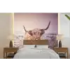 Schotse hooglanders - Licht - Lucht - Natuur fotobehang vinyl groot -bed