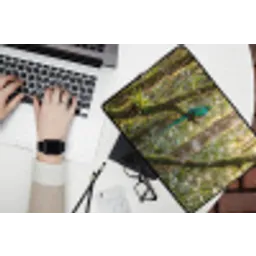 Quetzal - Jungle - Natuur - Groen laptophoes neopreen klein -bureau