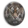 Tijger - Dieren - Portret - Luxe - Zwart Akoestische PET Vilt - Rond klein -3d