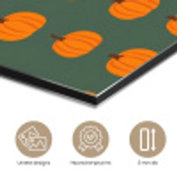 Pompoen - Patroon - Oranje aluminium wit klein 46 -closeup_NL