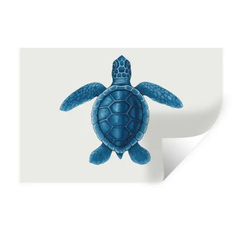 Schildpad - Blauw - Schild Muursticker klein -3d