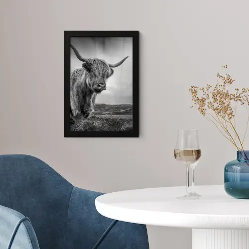 Koeien - Schotse hooglander - Natuur - Dieren - Zwart wit fotolijst zwart zonder passe partout klein -sfeer4