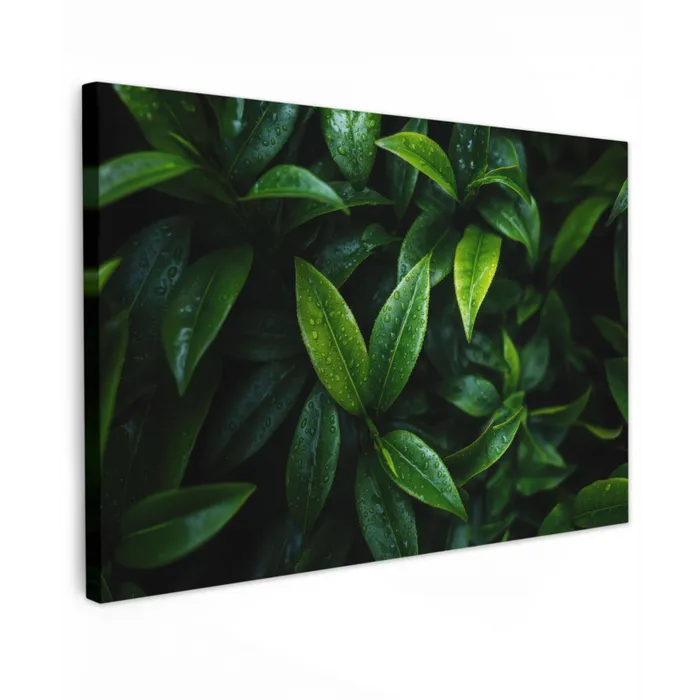 Bladeren - Regendruppels - Licht - Groen canvas 2cm klein -z3d