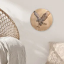 Buizerd - Roofvogel - Natuur - Bruin Wandcirkel kunststof plaat 5mm dik klein -sfeer5