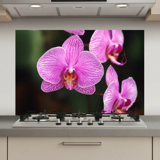 Roze orchidee keuken achterwand spatscherm klein -3d_website