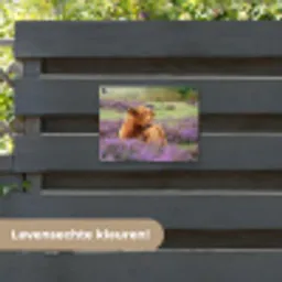 Hooglander in de Heide tuinposter los doek klein -sfeer3