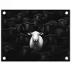 Schapen - Wit - Duisternis tuinposter los doek klein -3d