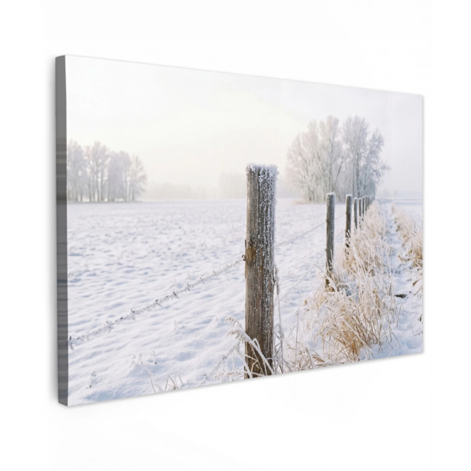 Hek - Sneeuw - Mist - Platteland - Nostalgisch canvas 2cm klein -z3d