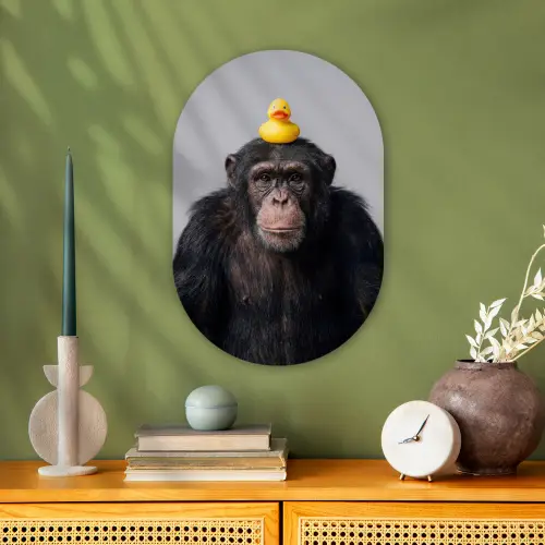 Chimpansee - Badeend - Grijs Wandcirkel Ovaal Forex klein -sfeer2