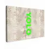 YOLO - Groen - Neon - Slangenprnt Tuinposter op houten frame 2 cm dik klein -3d