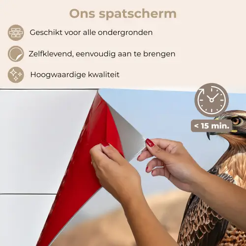 Valk - Vogel - Rots - Macht keuken achterwand spatscherm klein -spatscherm_NL
