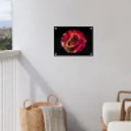 Bloem - Roos - Rood - Zwart tuinposter los doek klein -sfeer8