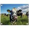 Koe - Tong - Weide tuinposter los doek klein -3d