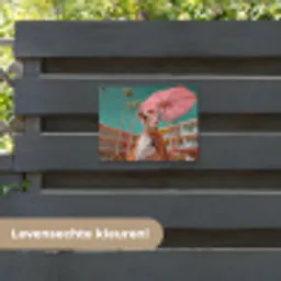 Dalmatiër - Zonnebril - Parasol - Roze tuinposter los doek klein -sfeer3