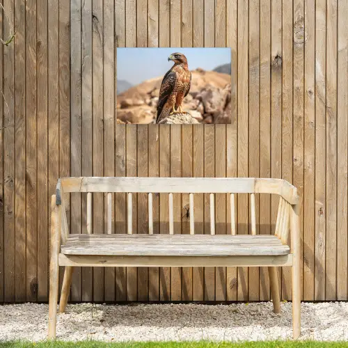 Valk - Vogel - Rots - Macht Tuinposter op houten frame 2 cm dik klein -sfeer4