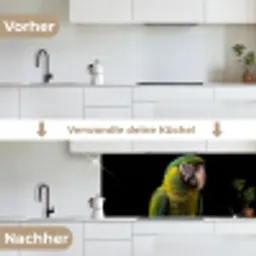 Ara - Portret - Groen keuken achterwand 2 middel -voor-na_DE