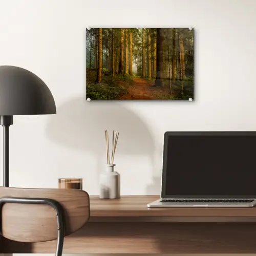 Bos - Natuur - Bomen - Landschap - Bladeren plexiglas 5mm klein -sfeer6