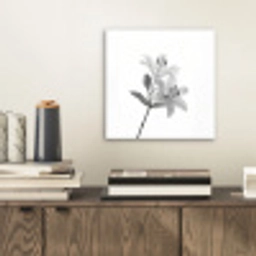 Lelies - Elegant - Zwart - Wit aluminium wit klein -sfeer1