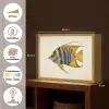 Vis - Sierlijk - Vinnen - Illustratie Light Box met batterij (Wandlamp) middel -USP_websiteoverzichtNL