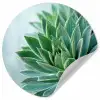 Vetplant - Bladeren - Groen - Wazig Wandcirkel behangsticker klein -3d