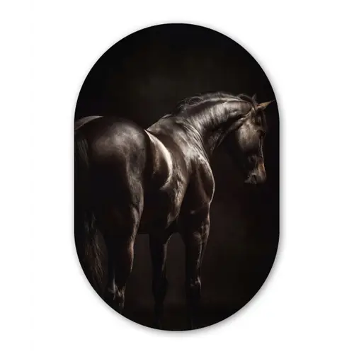 Krachtig - Paard - Donker Wandcirkel Ovaal Forex klein -3d