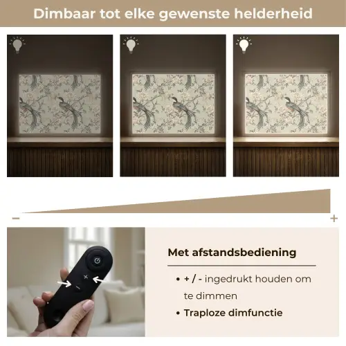 Bloem - Vogel - Kleurrijk Light Box met batterij (Wandlamp) middel 907 -USP_dimbaarNL