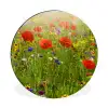Lente - Bloemen - Rood - Klaproos - Gras - Groen Wandcirkel aluminium klein -3d