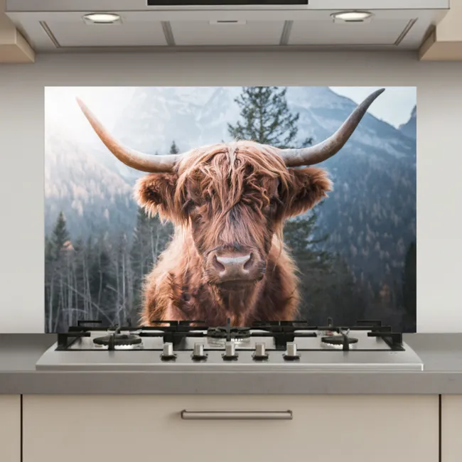 Schotse hooglander - Koe - Dieren - Berg - Natuur keuken achterwand spatscherm klein -3d_website