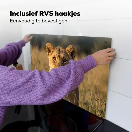 Leeuwin - Gras - Geel Inductie beschemer met haakjes klein -ky-ophangen-nl