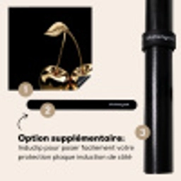 Kersen - Zwart - Goud - Chrome Inductie beschermer vinyl 3mm middel -zzzzzzz-induclip_FR