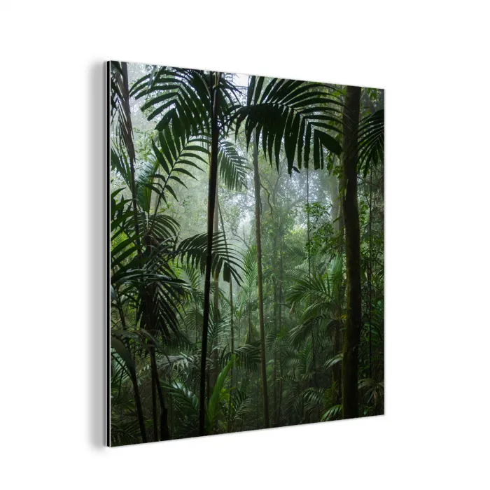 Regenwoud - Tropisch - Jungle - Bomen - Planten aluminium wit klein -3d