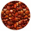 Rode - Glans -Stenen Wandcirkel kunststof plaat 5mm dik klein 188 -3d