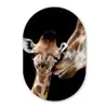 Giraffe - Dieren - Zwart - Portret - Dieren Wandcirkel Ovaal Forex klein -3d