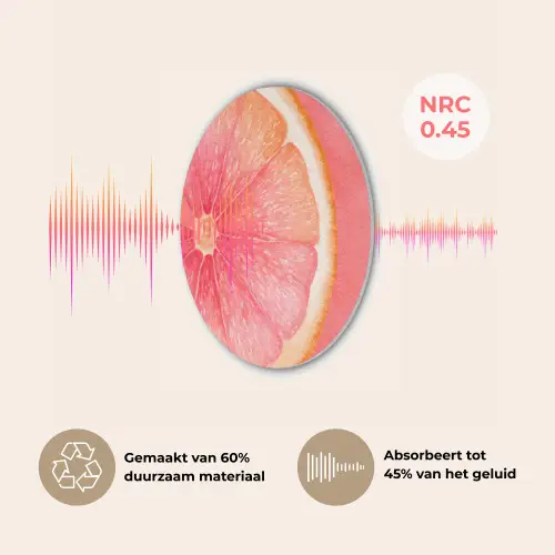 Grapefruit - Roze - Levendig Akoestische PET Vilt - Rond klein -USP_NL