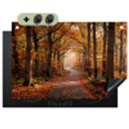 Bospad - Herfstbos - Bladeren - Oranje - Nostalgisch Inductie beschemer met haakjes klein -3d