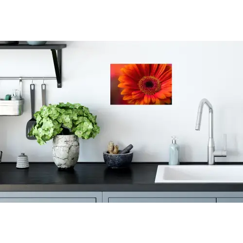 Oranje - Gerbera - Intens Muursticker klein -keuken