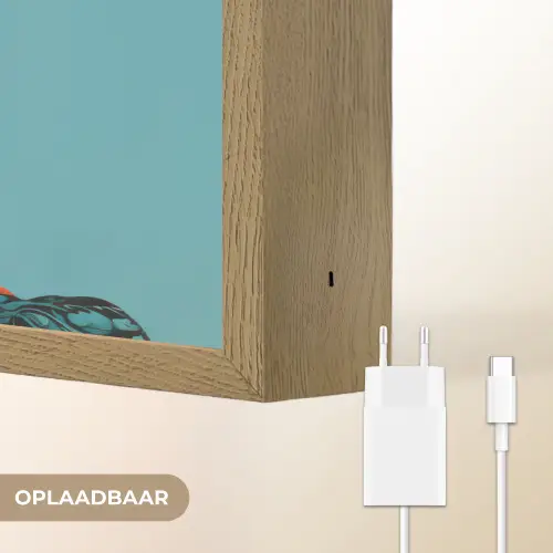 Vrouw - Blauw - Vlinder - Bloemen - Aesthetic Light Box met batterij (Wandlamp) middel -USP_websiteoplaadbaarNL