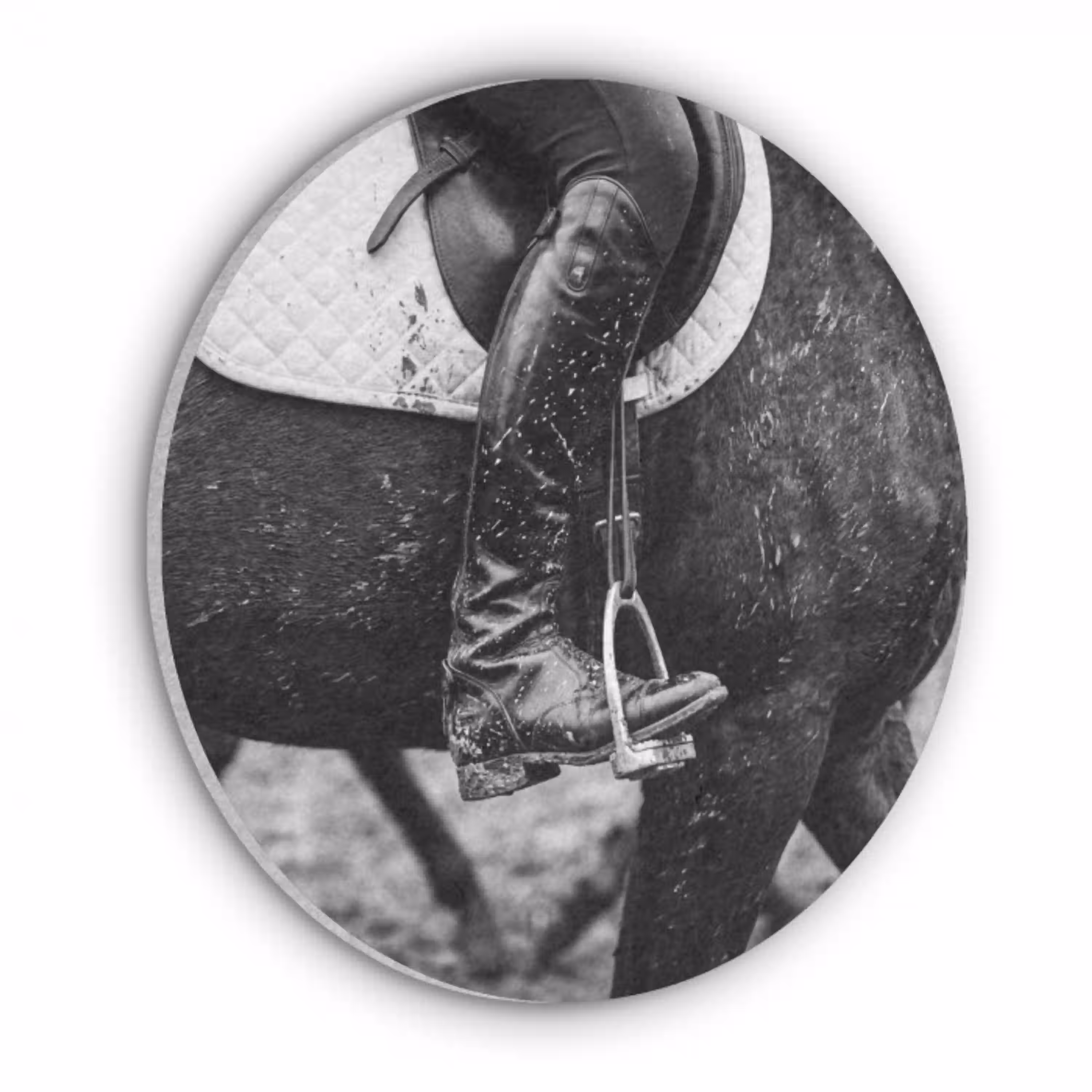 Paard - Sport - Zwart - Wit Akoestische PET Vilt - Rond klein -3d