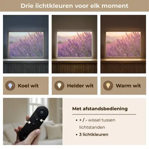 Lavendel - Paars - Zonlicht Light Box met batterij (Wandlamp) middel -USP_lichtkleurNL